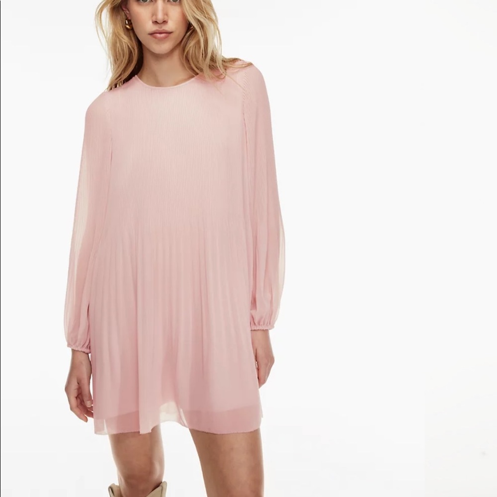 Aritzia Wilfred Daydreamer Mini Dress